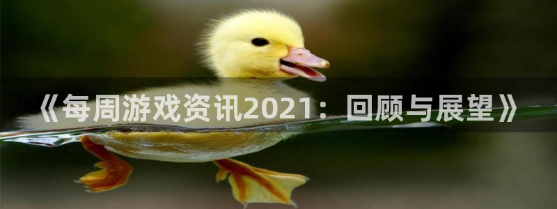 高德娱乐登录网址：《每周游戏资讯2021：回顾与展望》