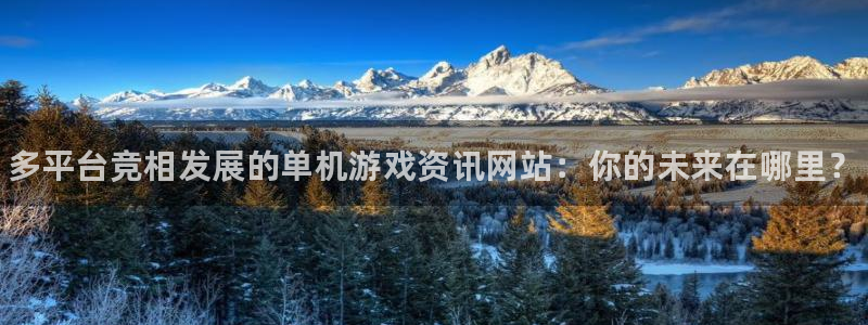 高德娱乐网址官网：多平台竞相发展的单机游戏资讯网站：你的未来