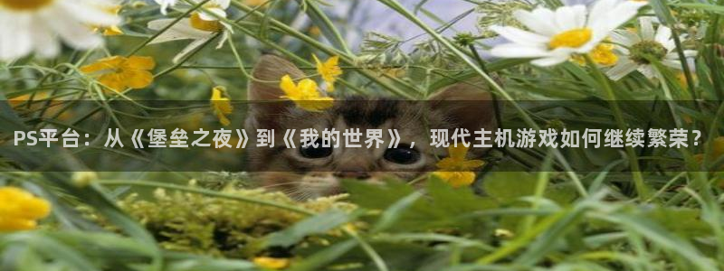 高德娱乐官网：PS平台：从《堡垒之夜》到《我的世界》，现代主