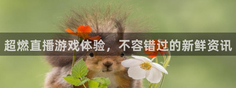 高德娱乐平台：超燃直播游戏体验，不容错过的新鲜资讯