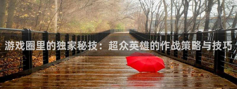 高德娱乐注册登录平台：游戏圈里的独家秘技：超众英雄的作战策略