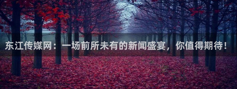 松鼠直播体育：东江传媒网：一场前所未有的新闻盛宴，你值得期待！