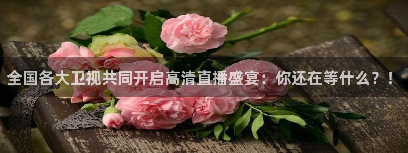 松鼠客户端：全国各大卫视共同开启高清直播盛宴：你还在等什么？！
