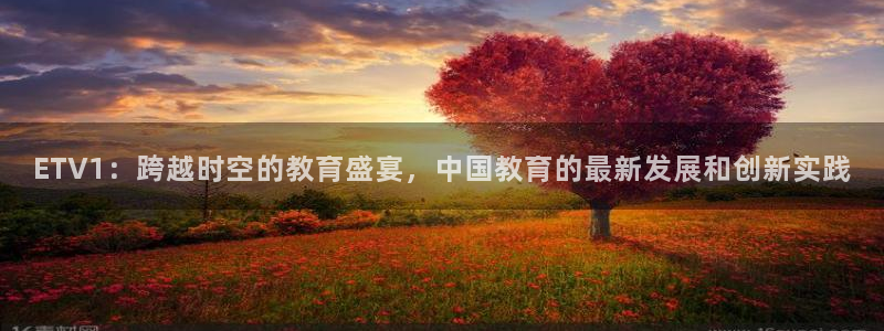 松鼠体育在线直播：ETV1：跨越时空的教育盛宴，中国教育的最新发展和创新实践