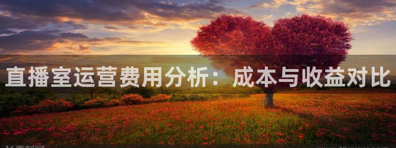 松鼠客户端：直播室运营费用分析：成本与收益对比