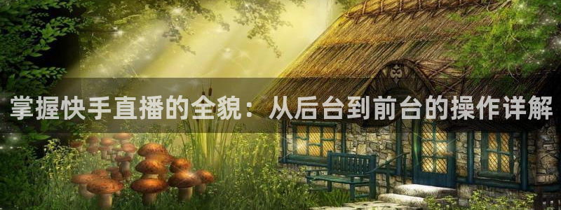 松鼠直播体育免费：掌握快手直播的全貌：从后台到前台的操作详解