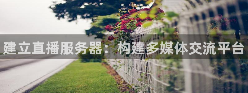 松鼠客户端：建立直播服务器：构建多媒体交流平台