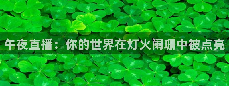 松鼠官方网站：午夜直播：你的世界在灯火阑珊中被点亮